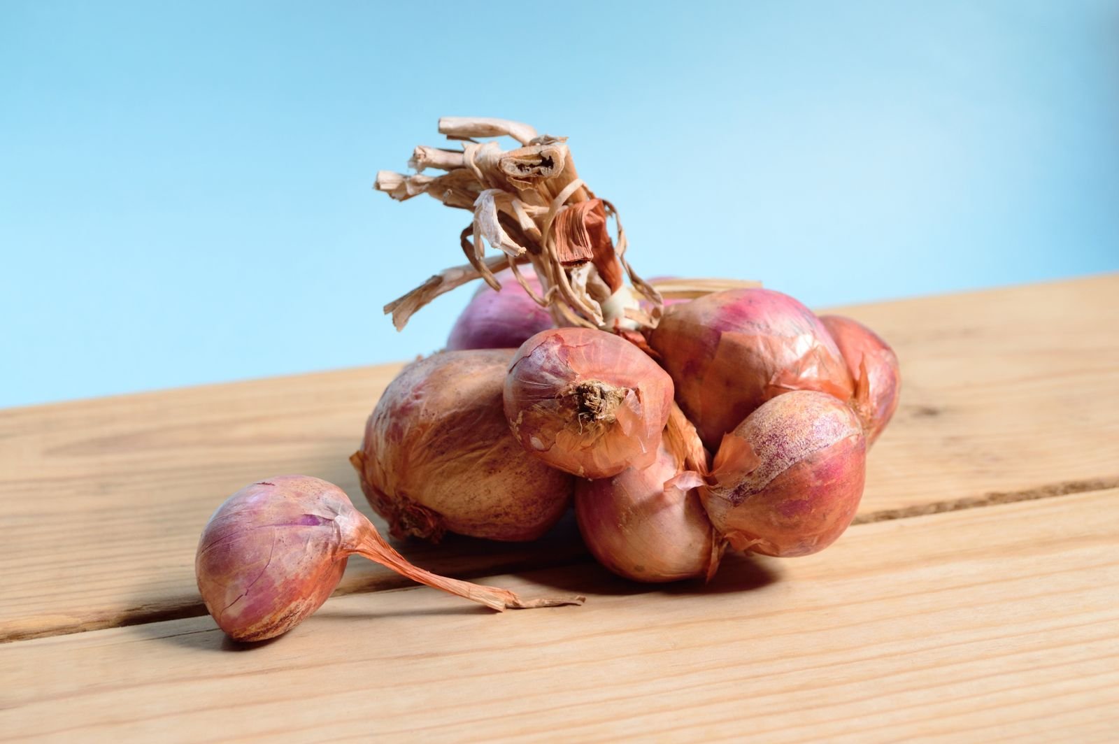 Rose Onions Trading