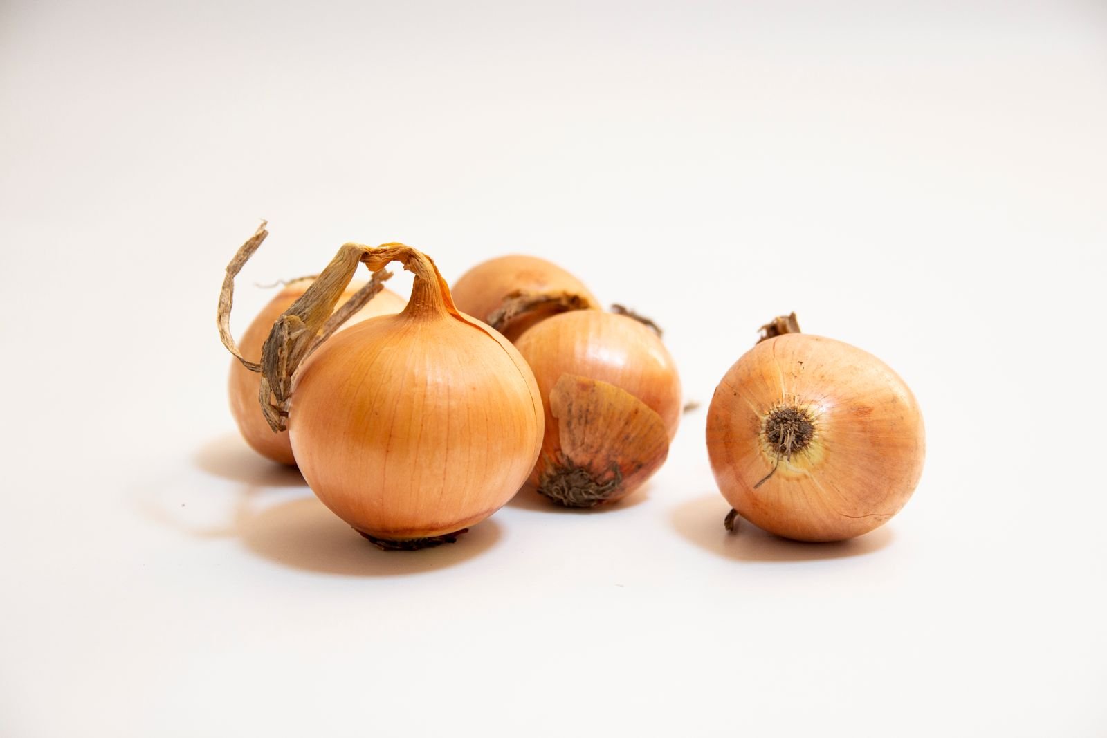 Onion Cold Storage