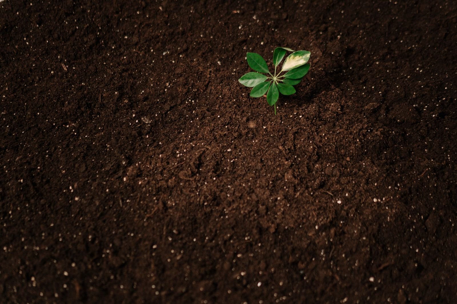 Sustainable Agriculture Solutions