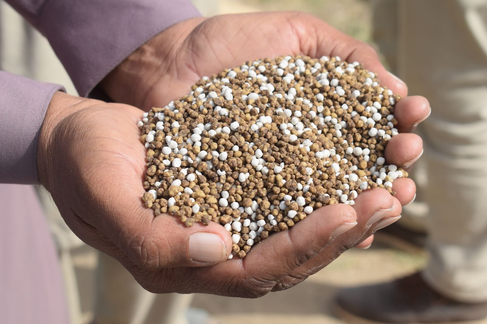 Bio-Fertilizer Export