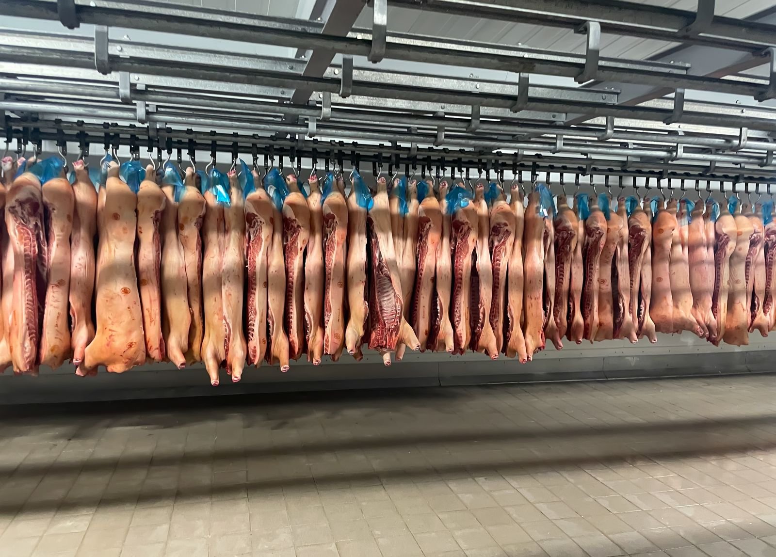 Pork Cuts & Varieties