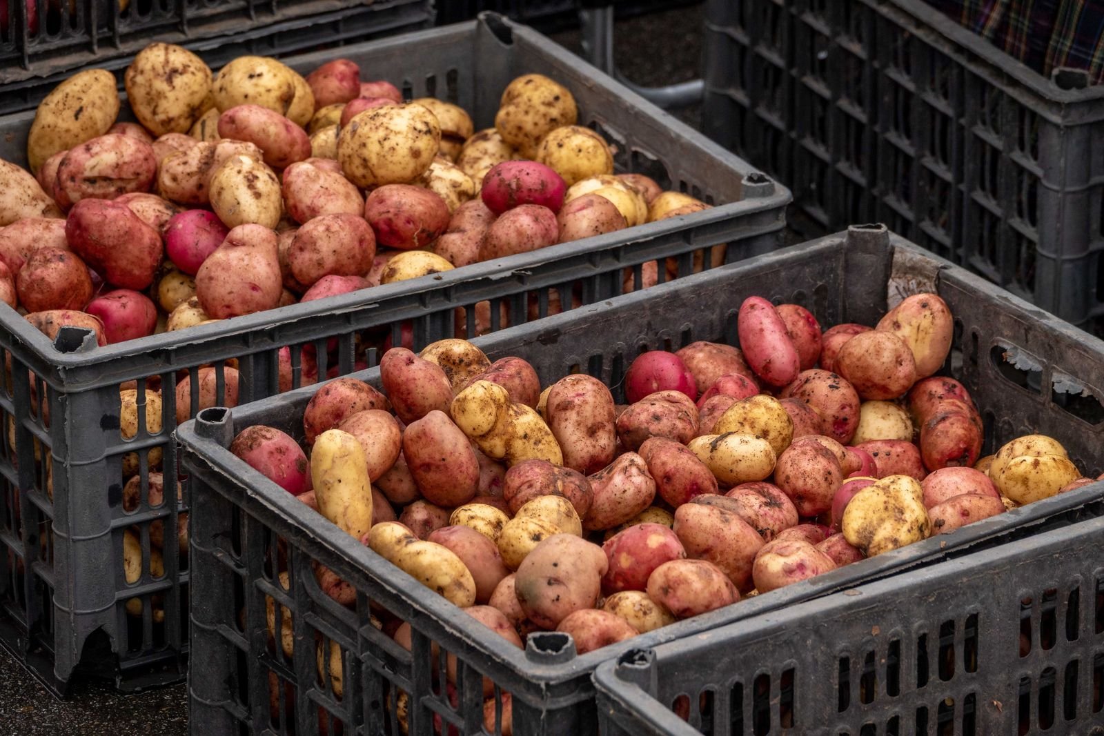 Cold Storage Solutions