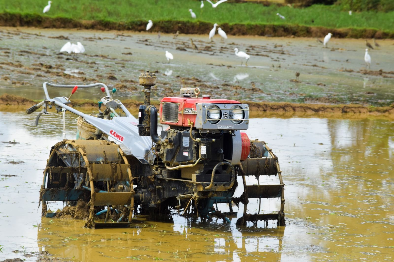 Power Tiller Import Services