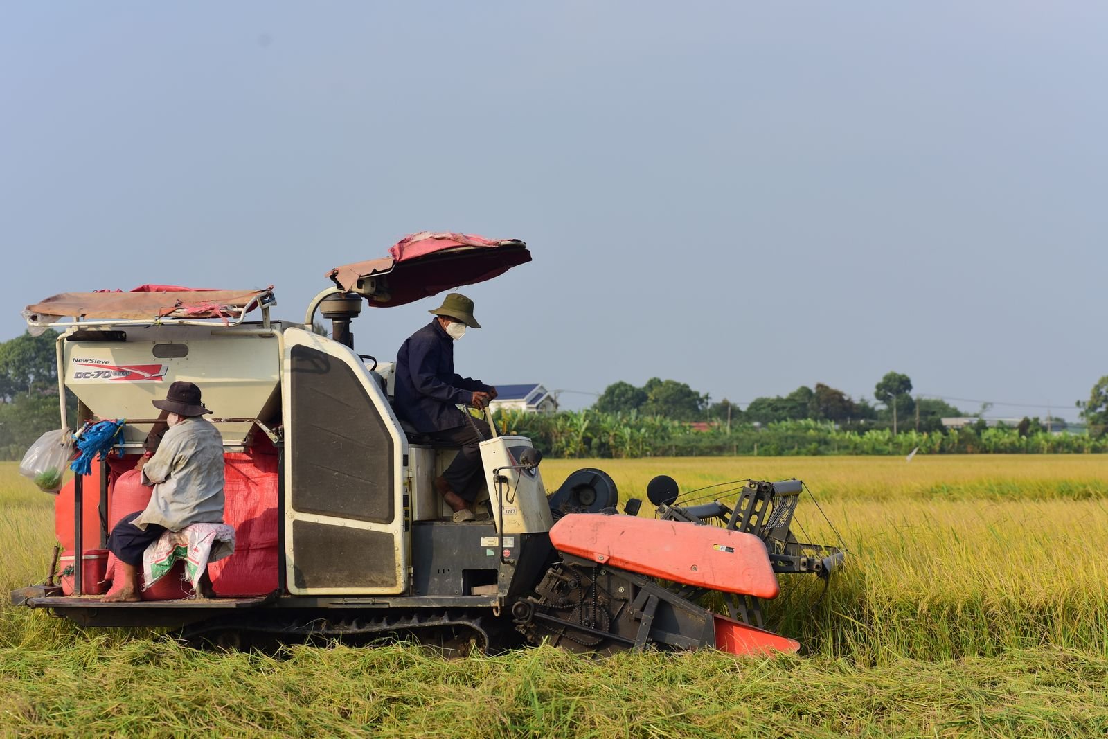 Heavy Duty Power Tillers