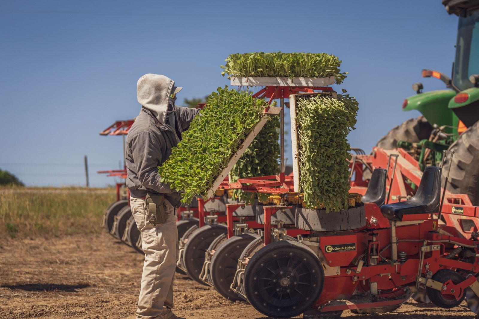 Seed Drill Import Services