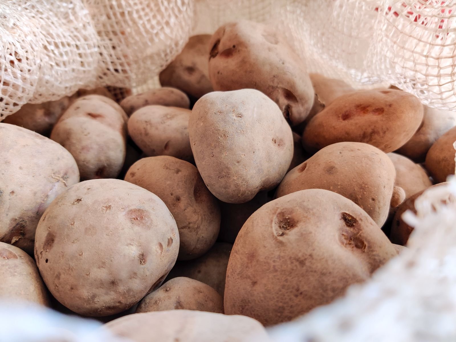 Premium Variety Import