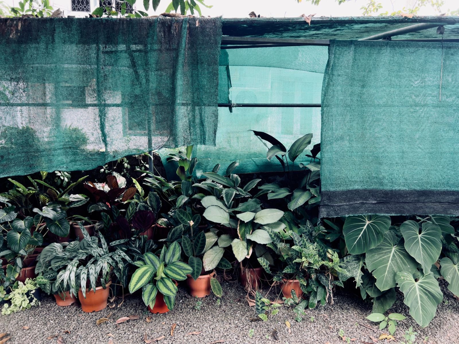 Custom Cut Shade Nets