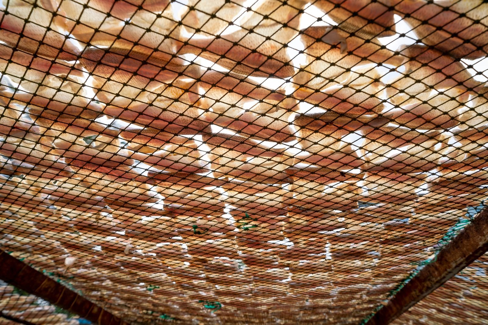 Industrial Shade Solutions