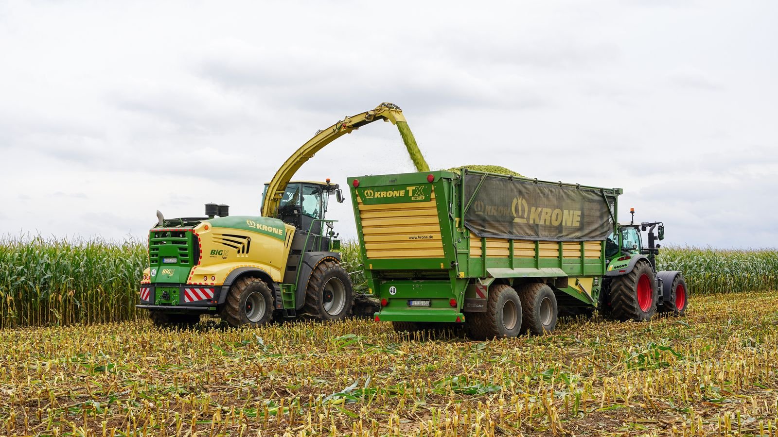 Sorghum Silage Supply