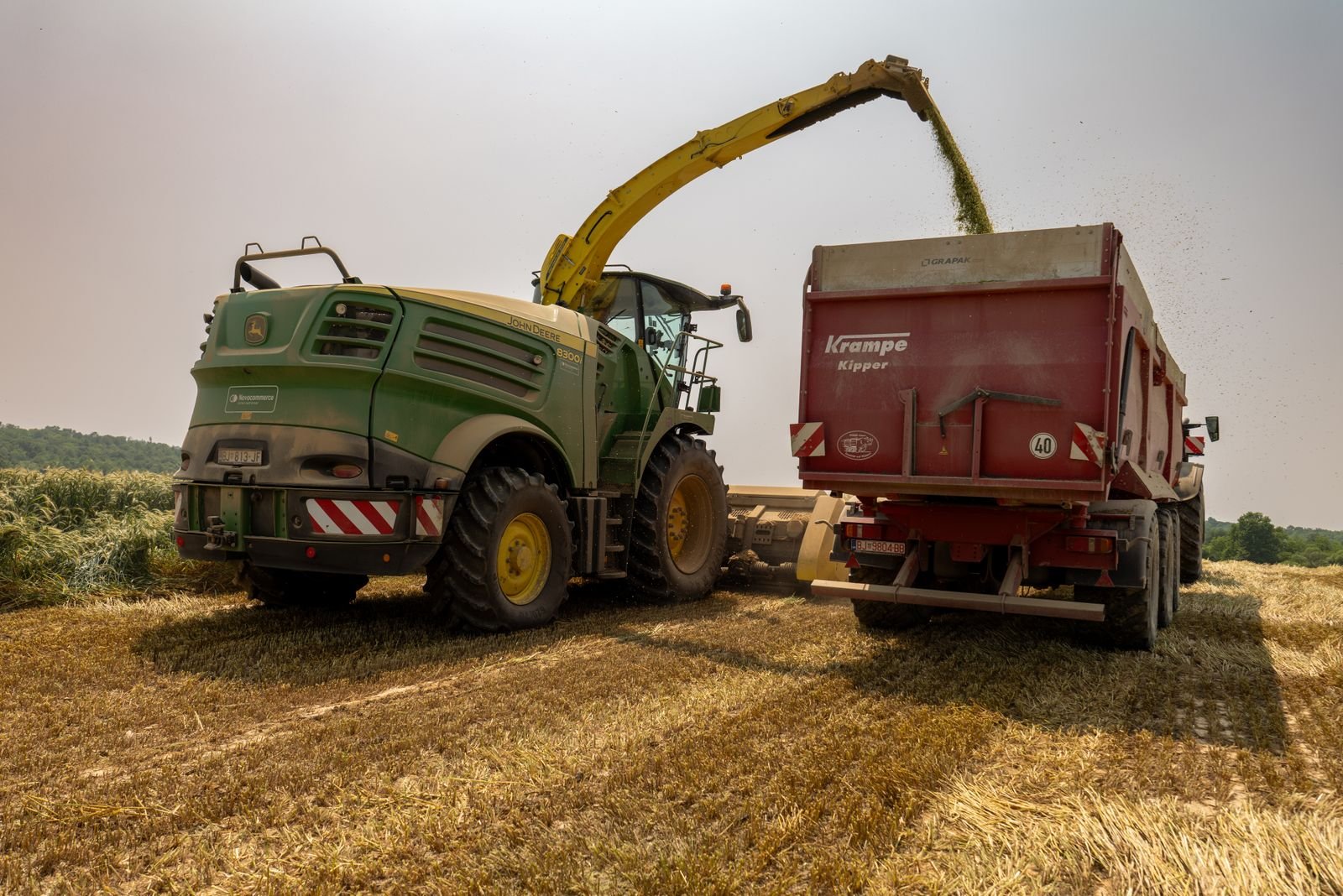 Silage Inoculants Import