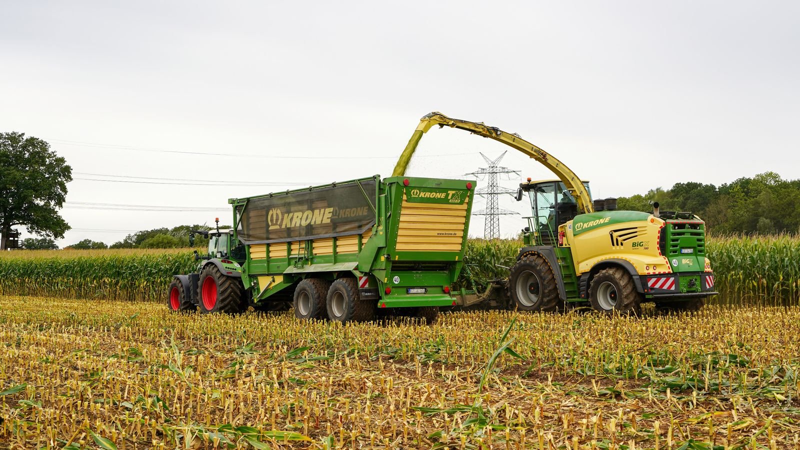 Bulk Silage Shipping