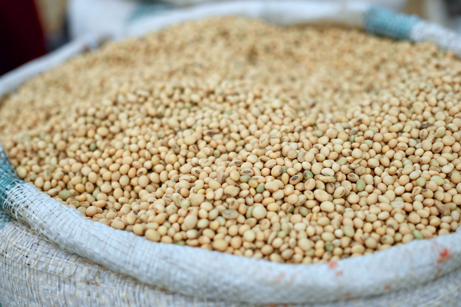 Soybean Import