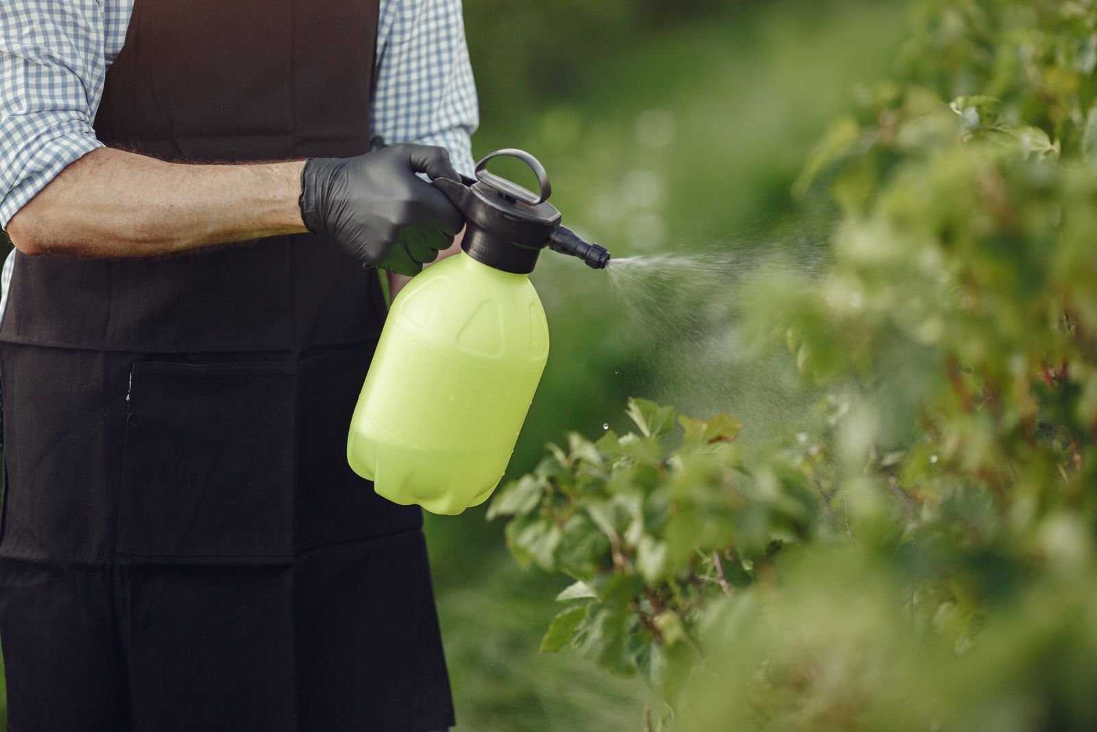 Power Sprayers Import Export India