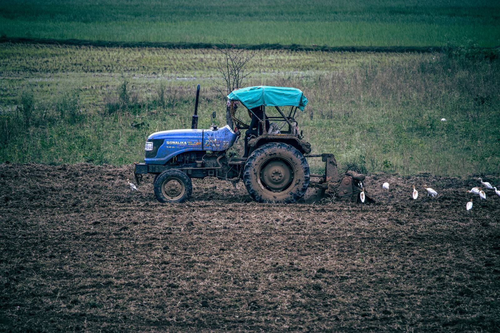 New Tractor Imports