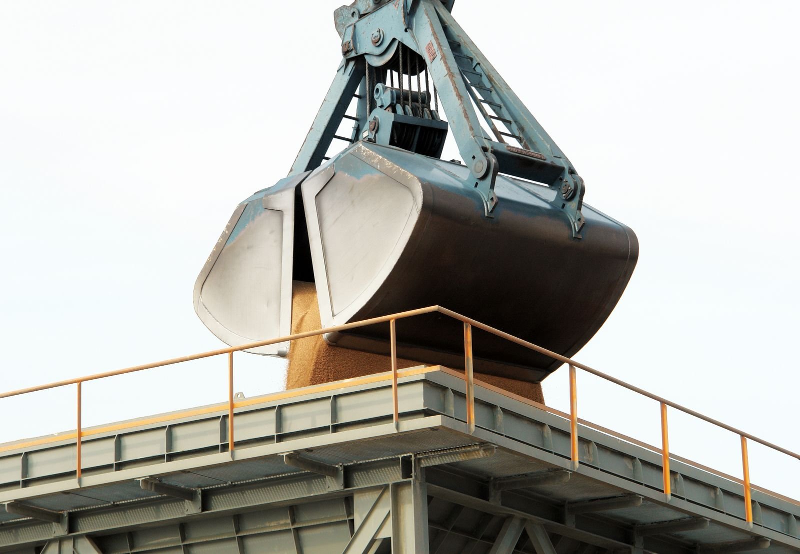 Premium Wheat Grains Export