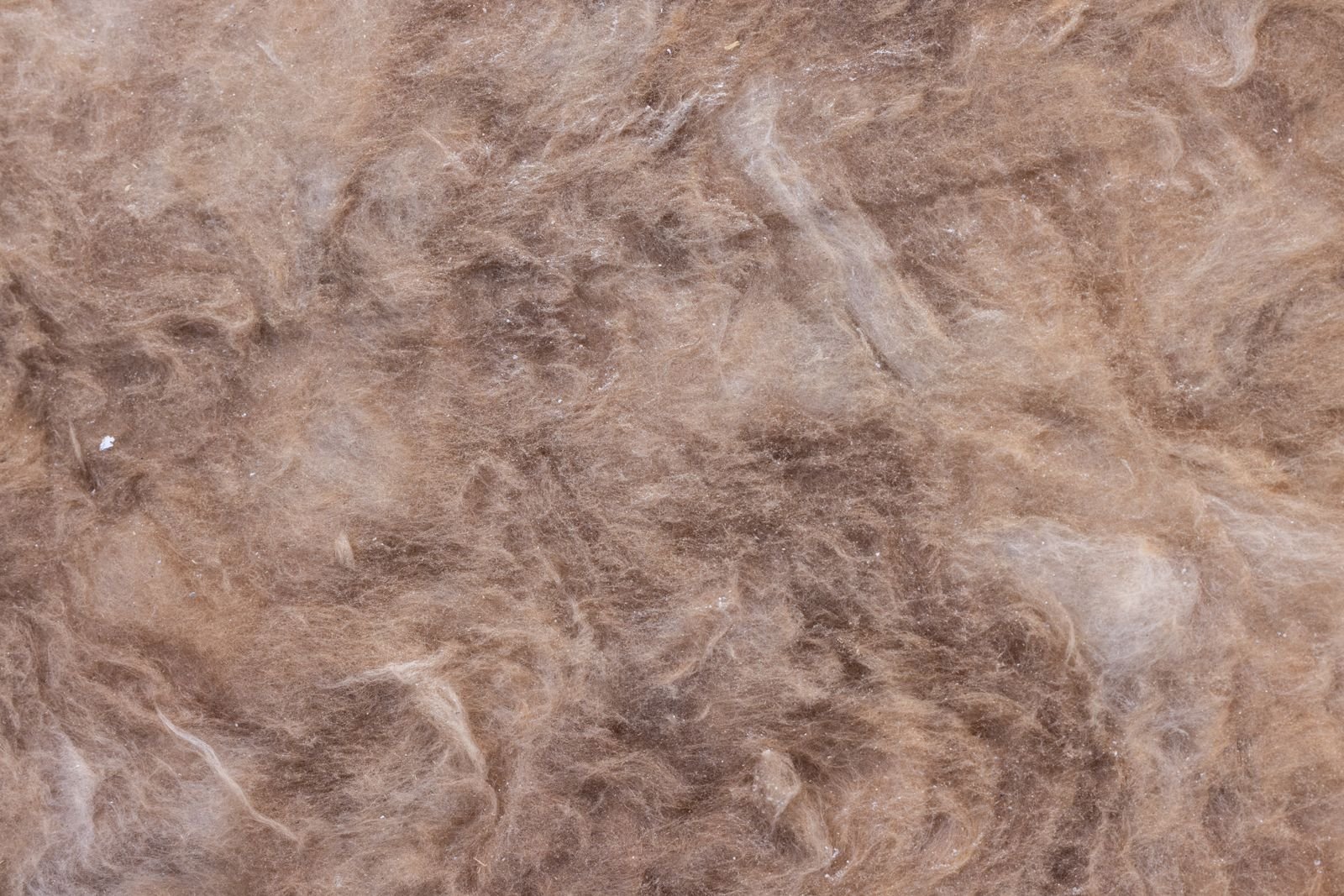 Raw Wool Sourcing