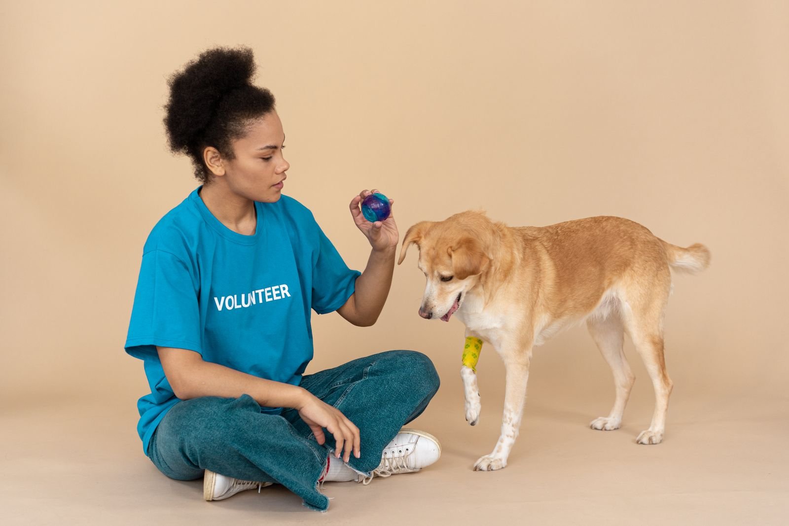 Pet Boarding & Daycare