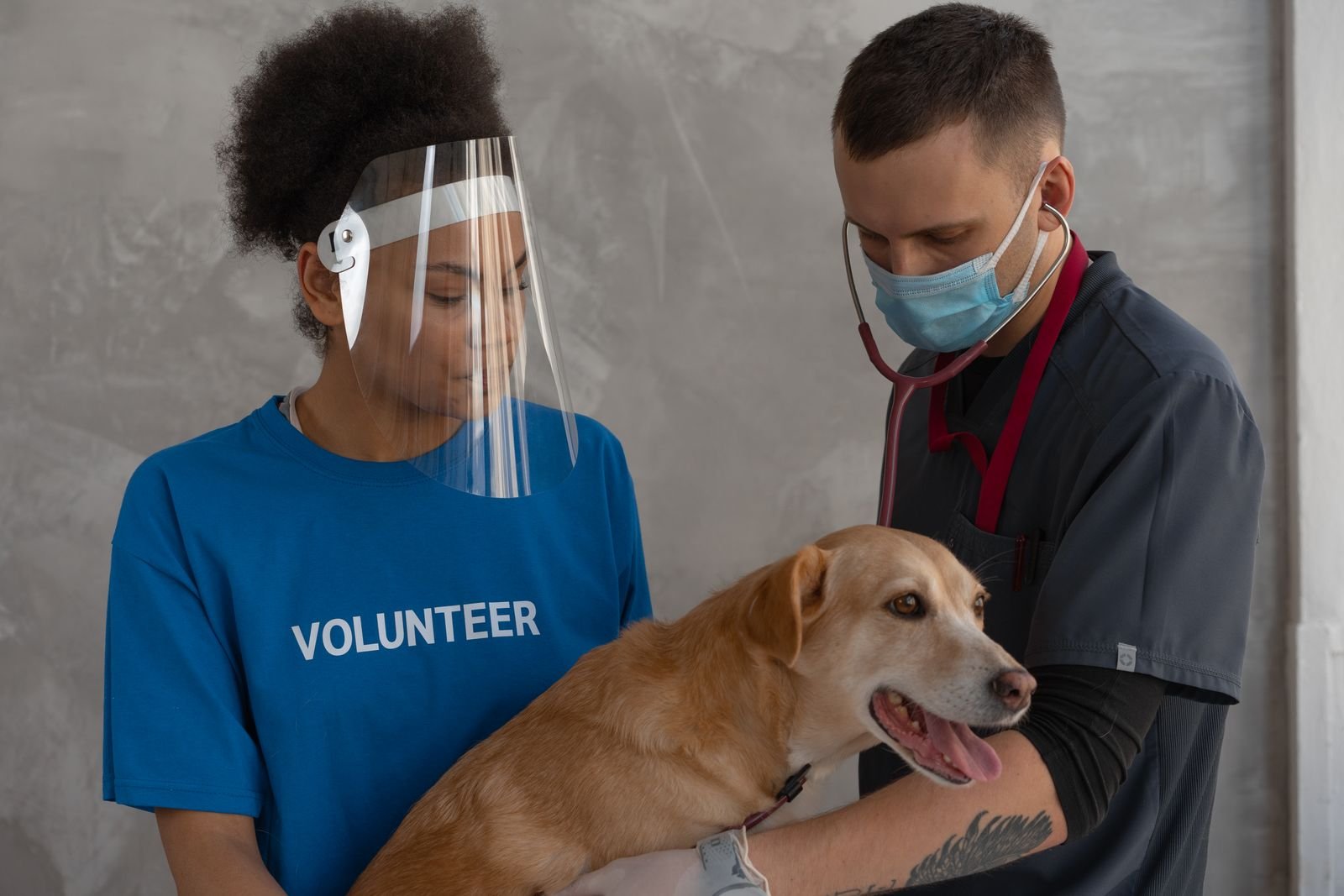 Emergency Vet Care