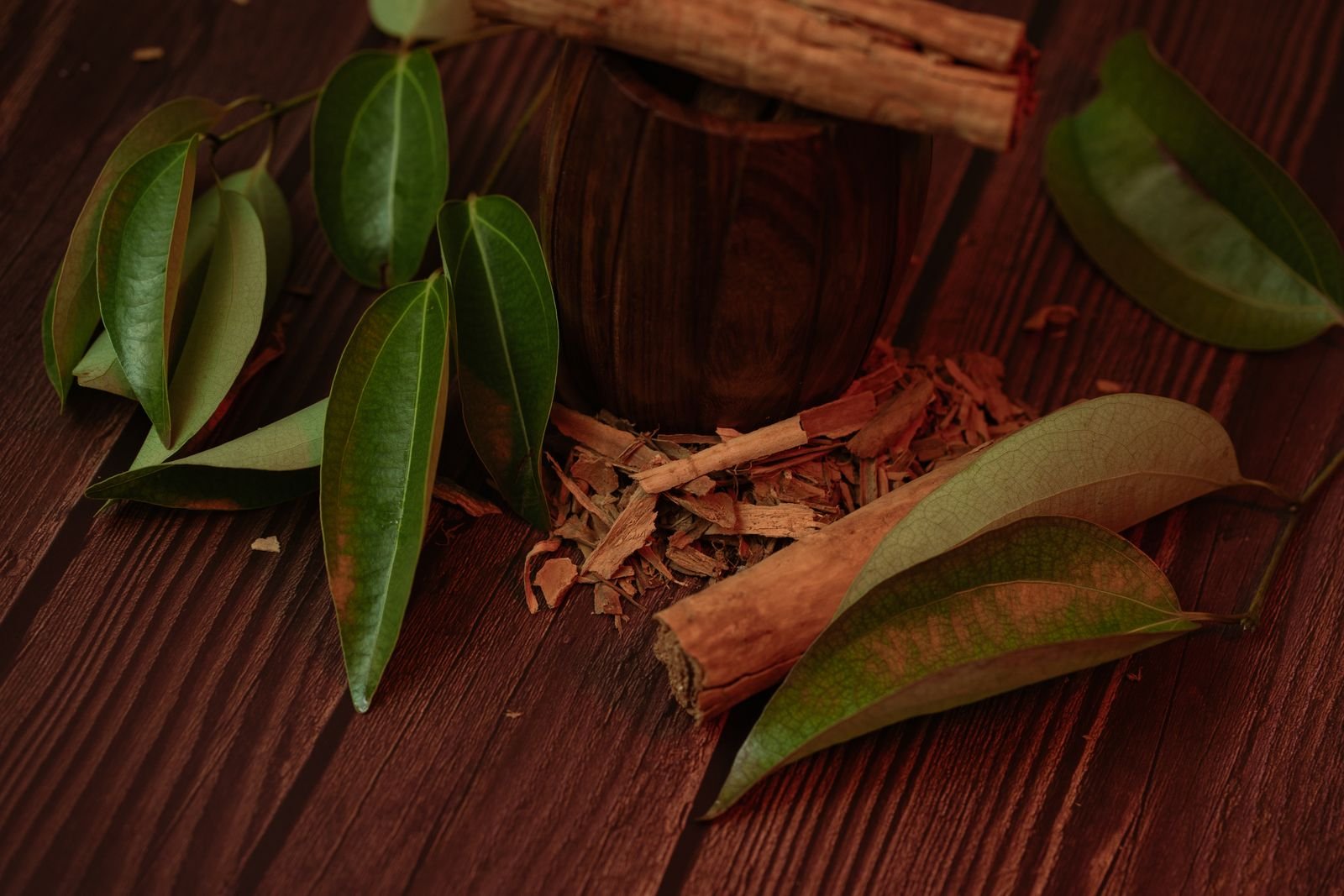 Panchakarma Therapy
