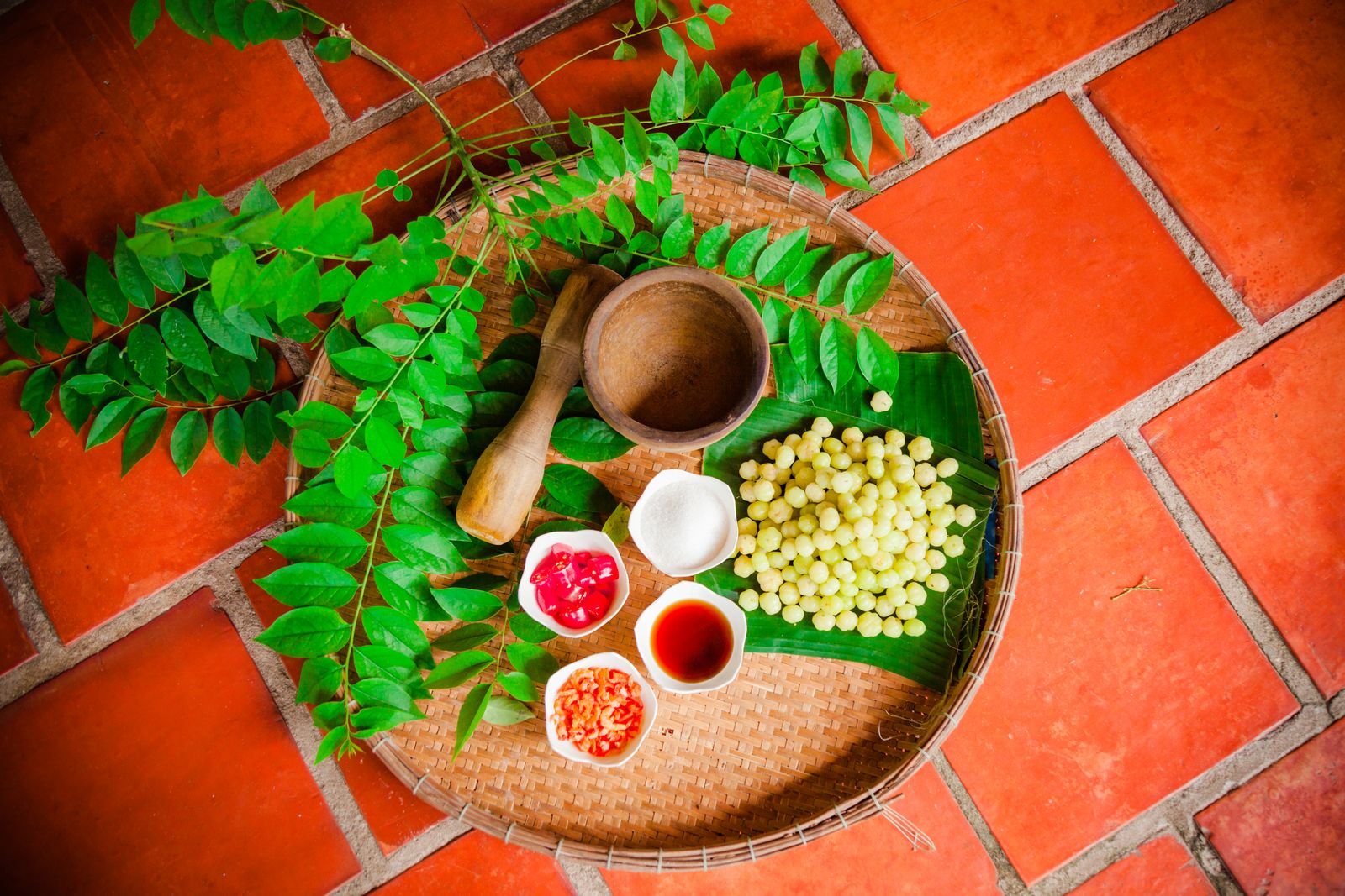 Rasayana Therapy