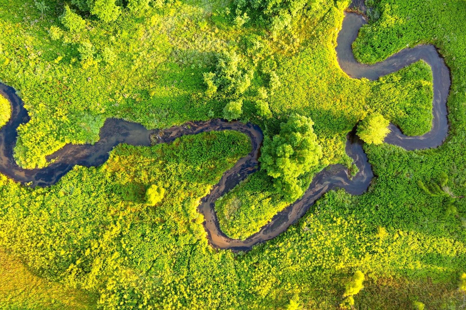 Sustainability Auditing Kosamba