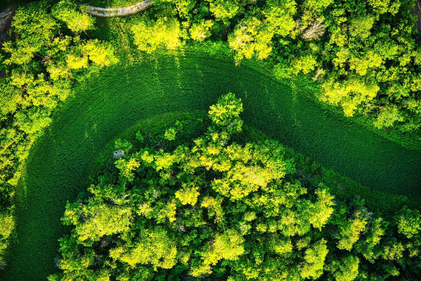 Carbon Footprint Analysis Kosamba