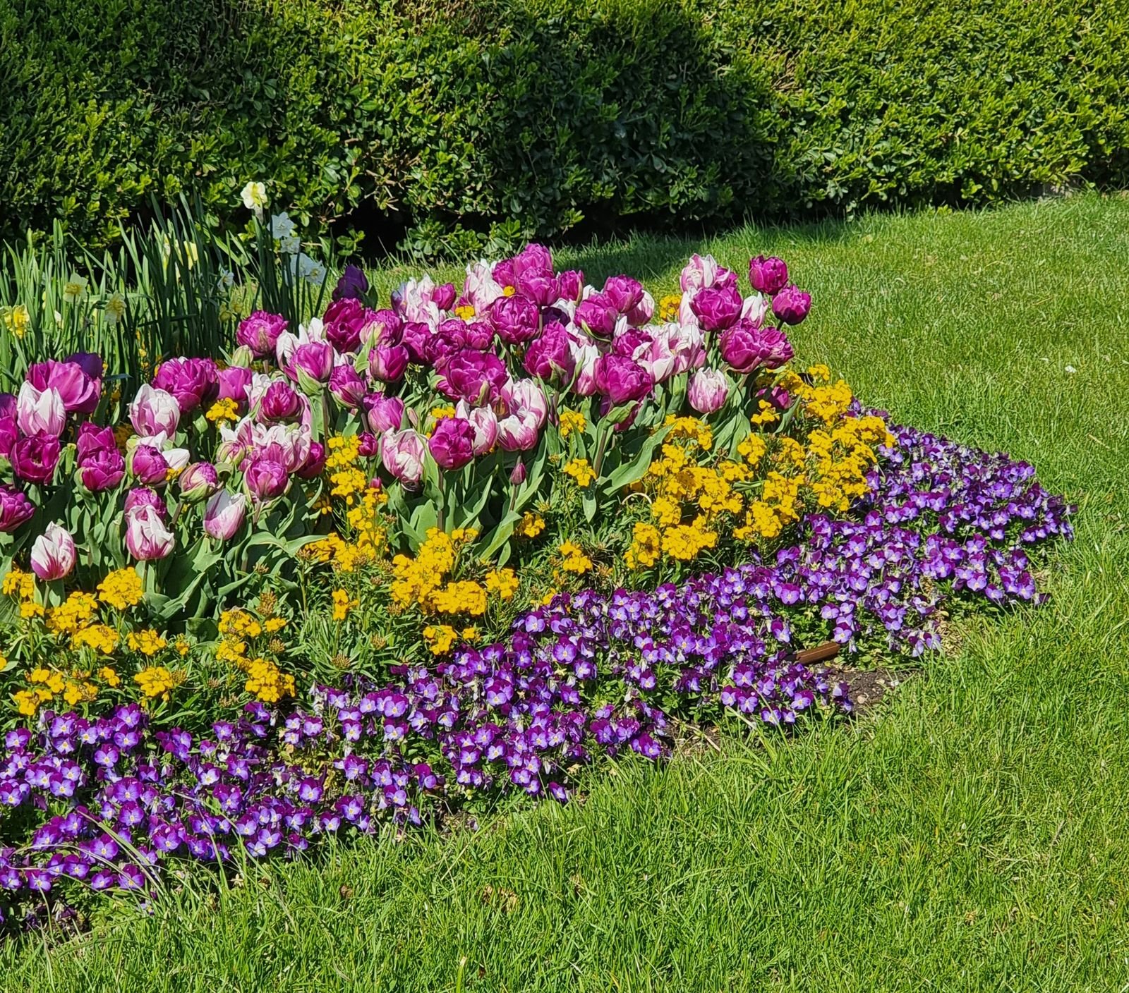 Planting Services Jintur