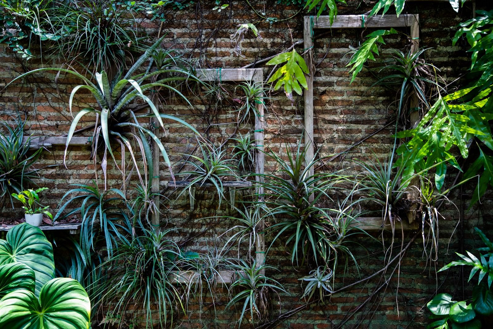 Irrigation Systems Jintur