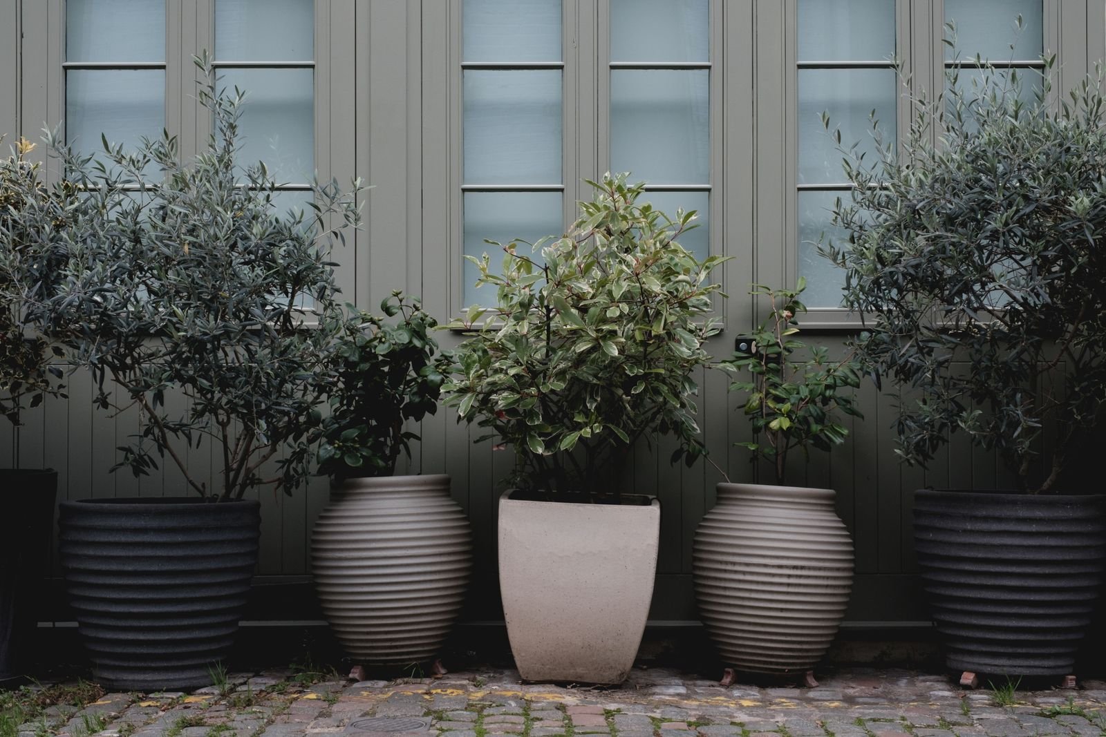 Garden Maintenance Jintur