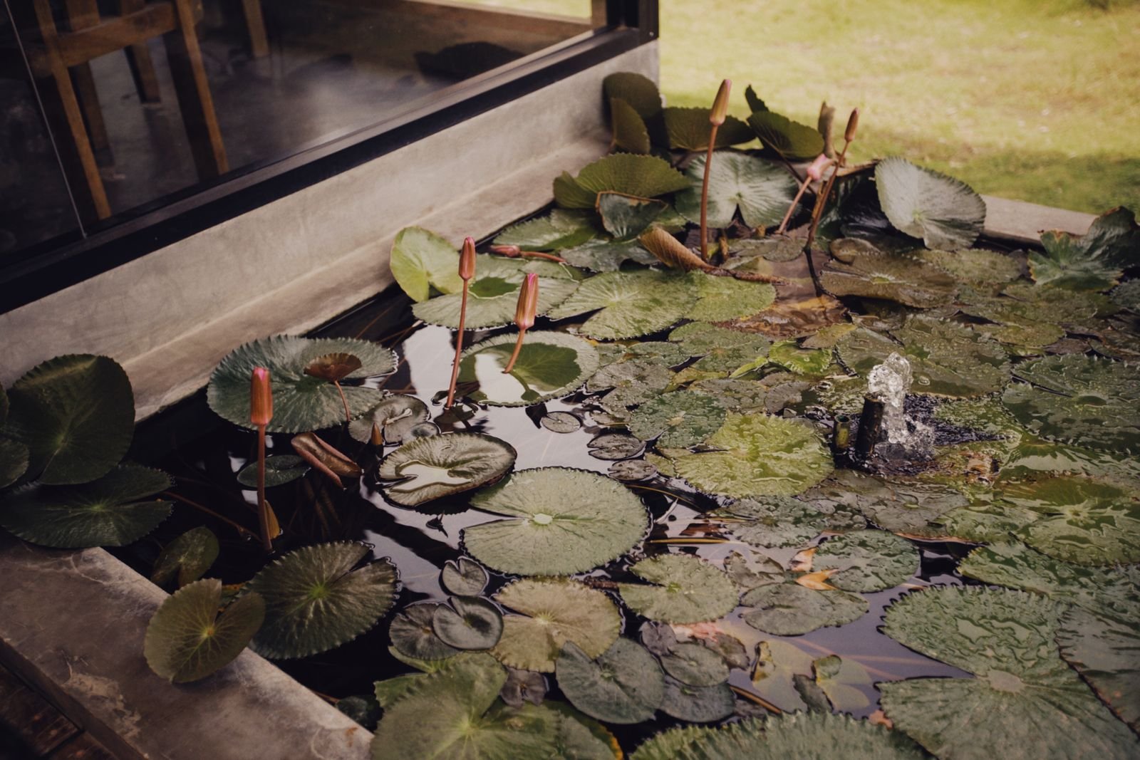 Water Features Jintur