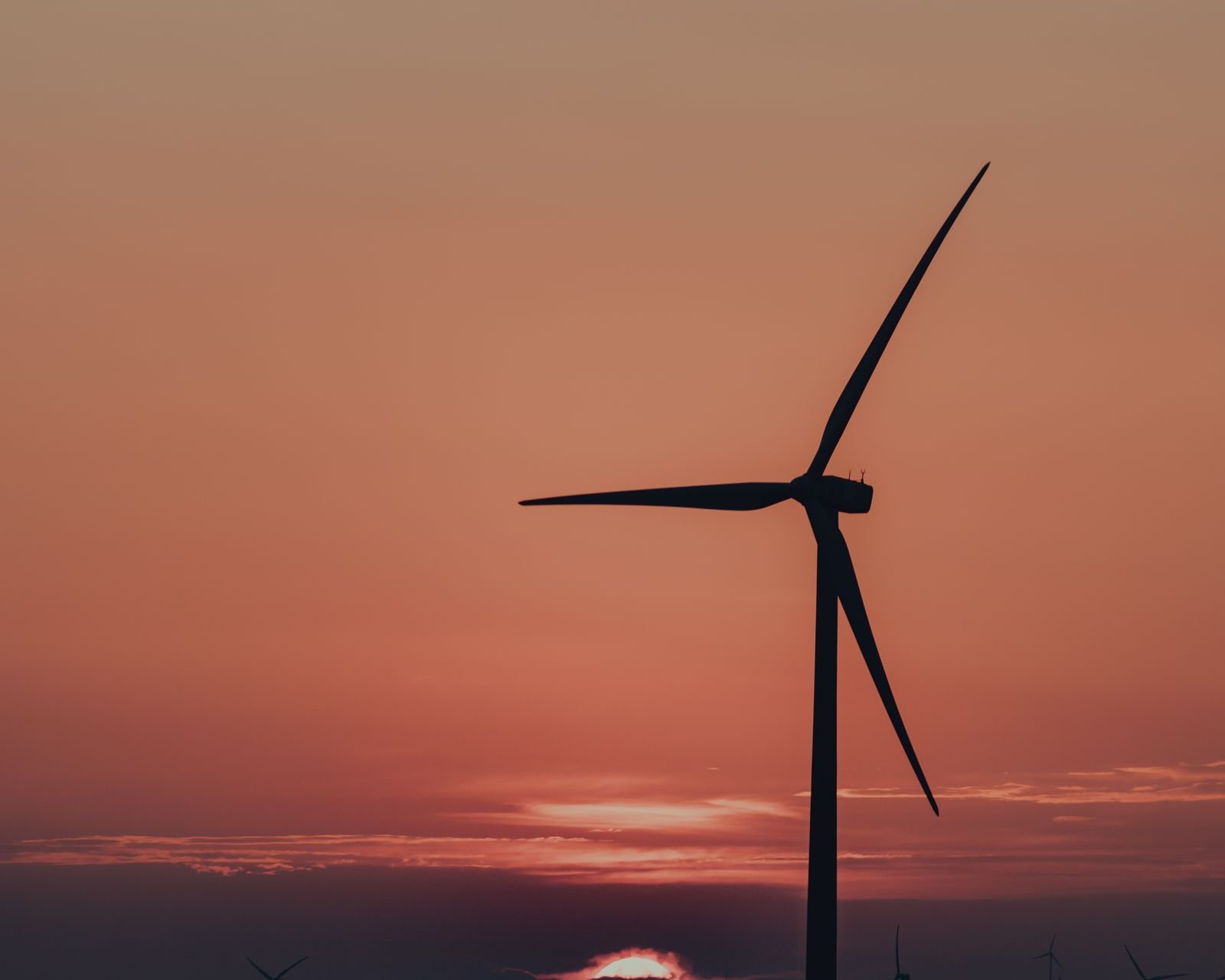 Sustainability Training