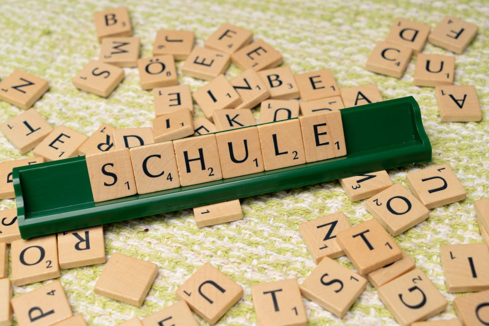 French Language Course