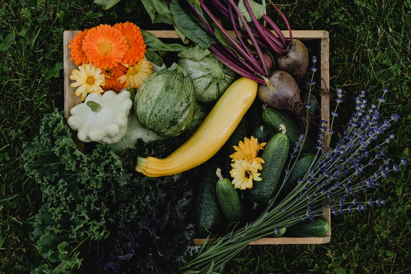 Organic Fruits & Vegetables