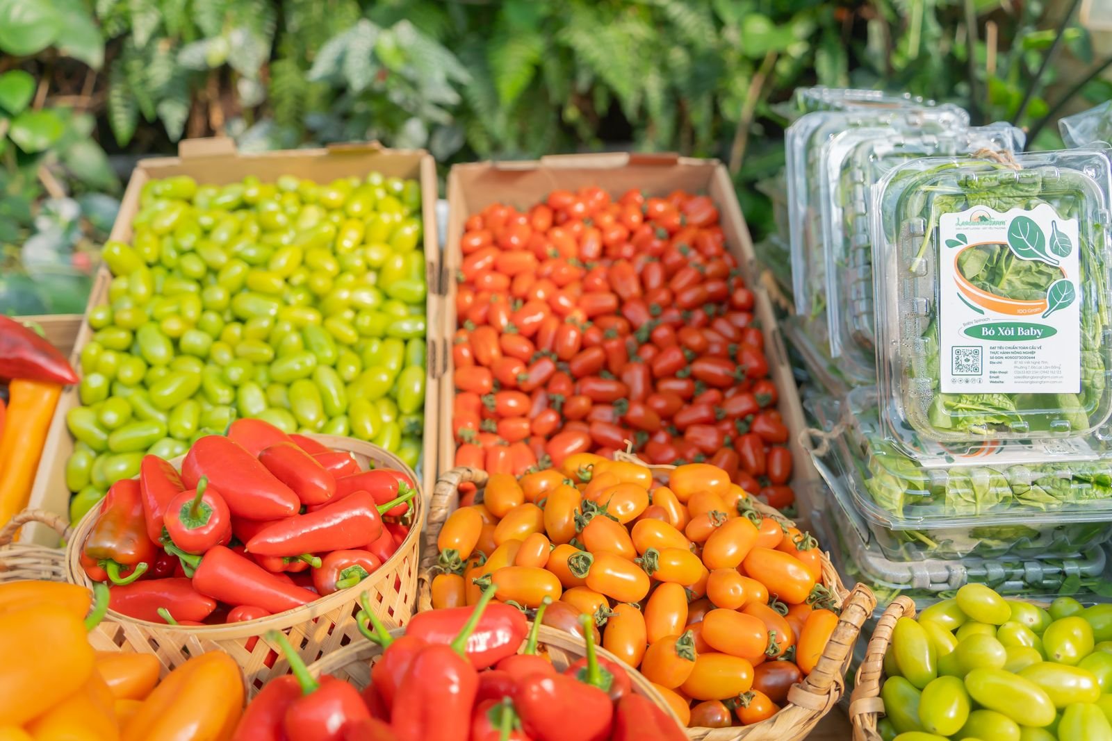 Organic Farming Consultation