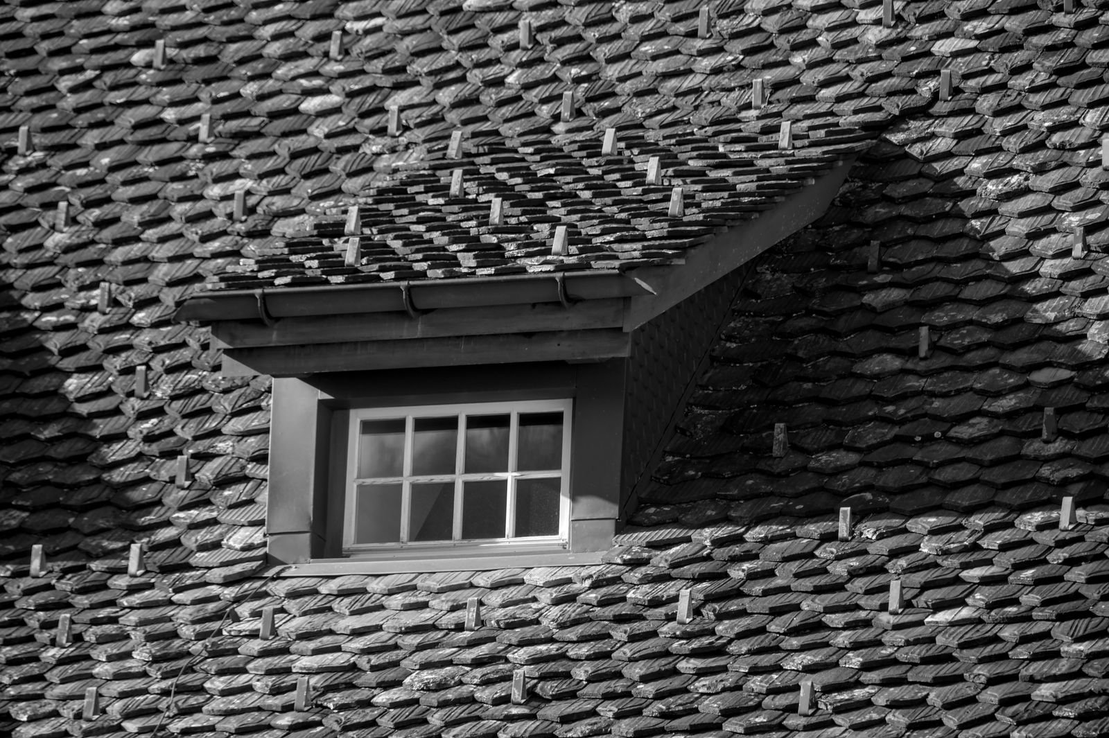 Roof Inspection