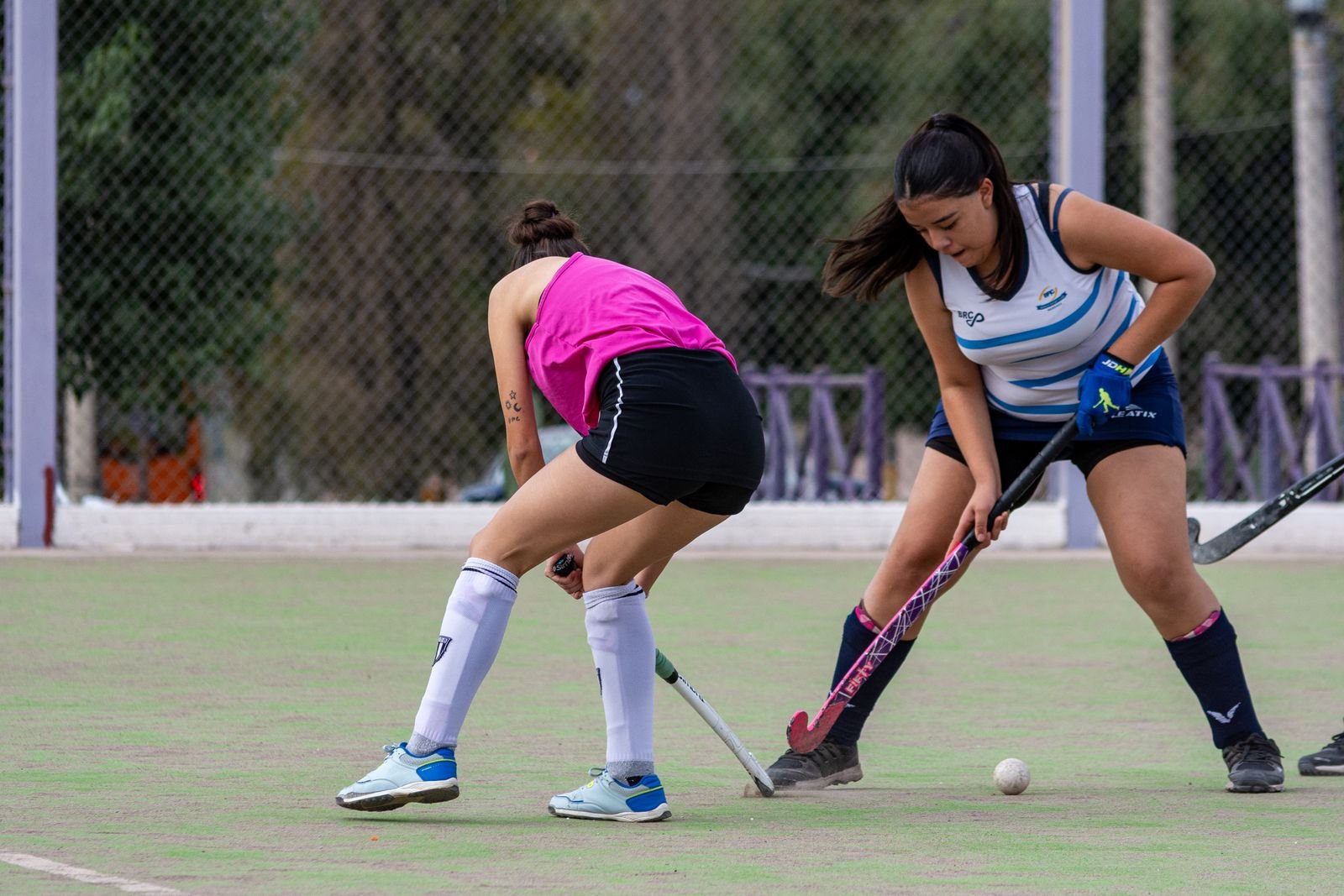 Sports Nutrition Products