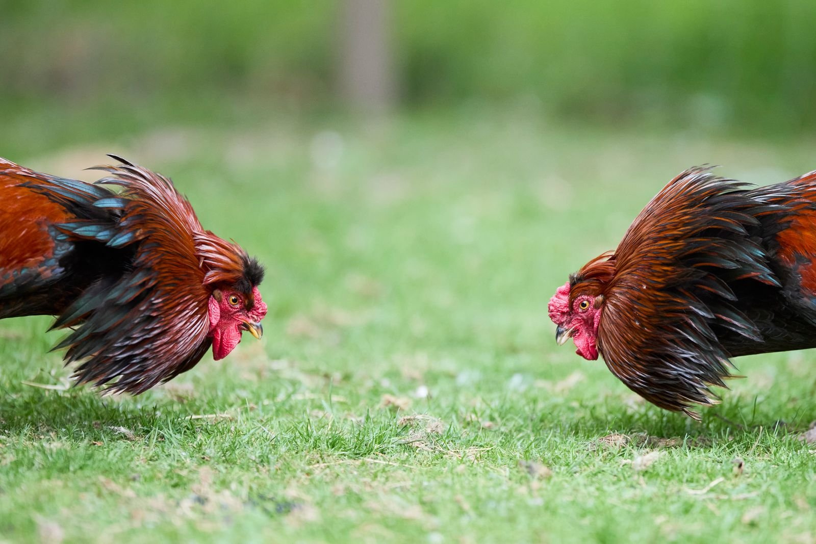 Aggression Management Training Session