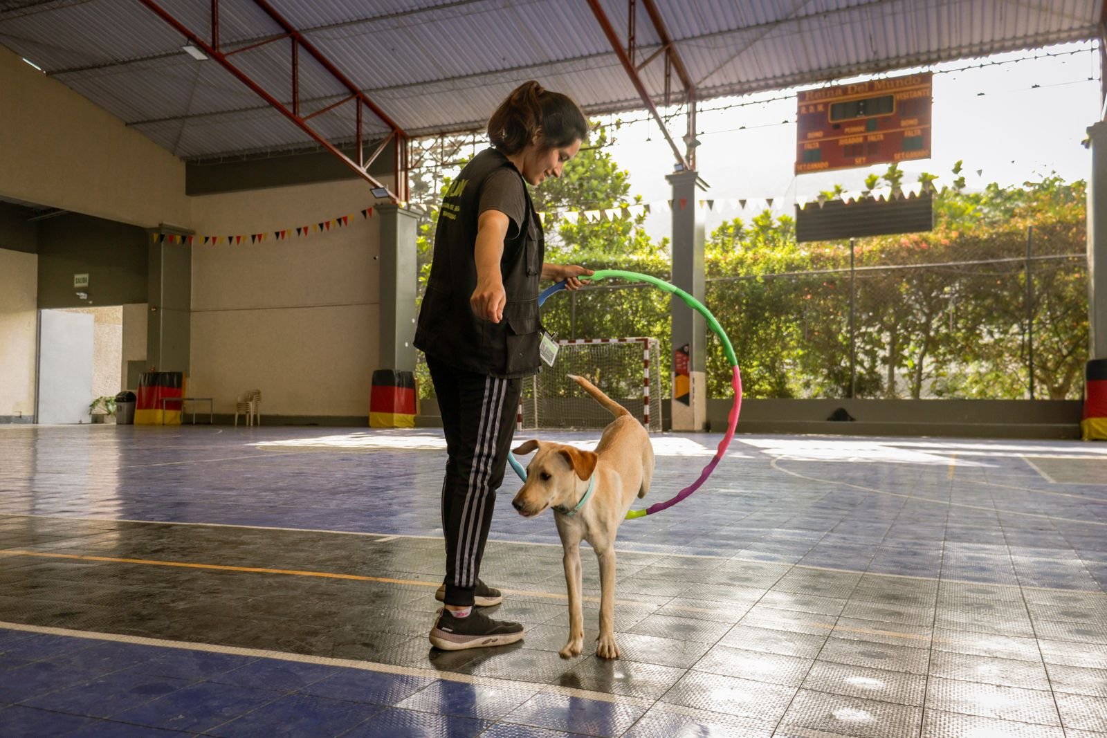 Sports Injury Rehabilitation for Animals