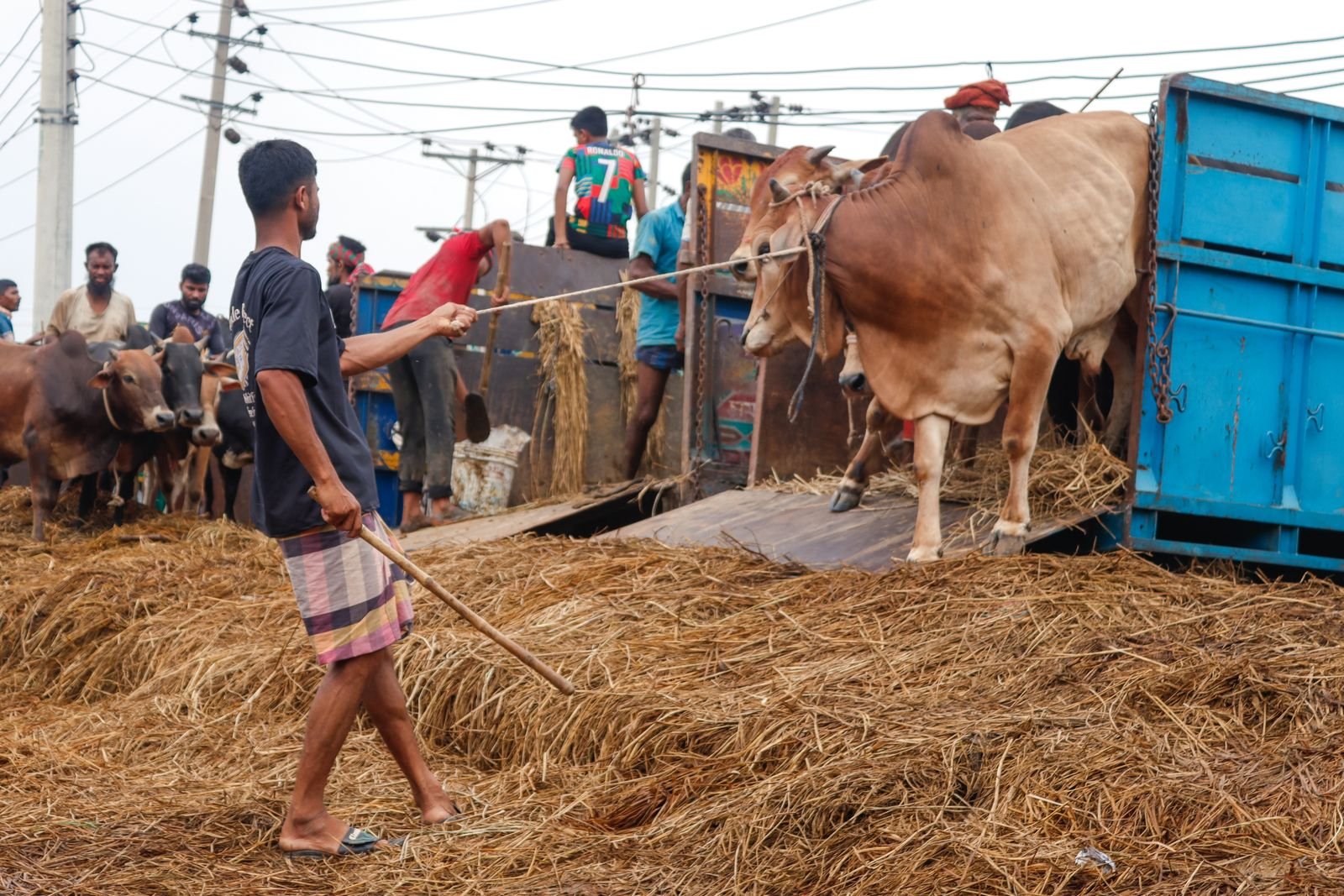 Livestock Transportation Kerala