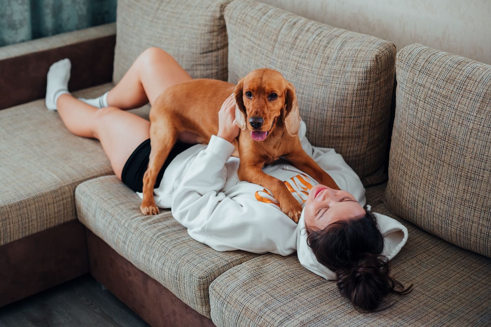 Pet Grooming in Market Yard, Pune