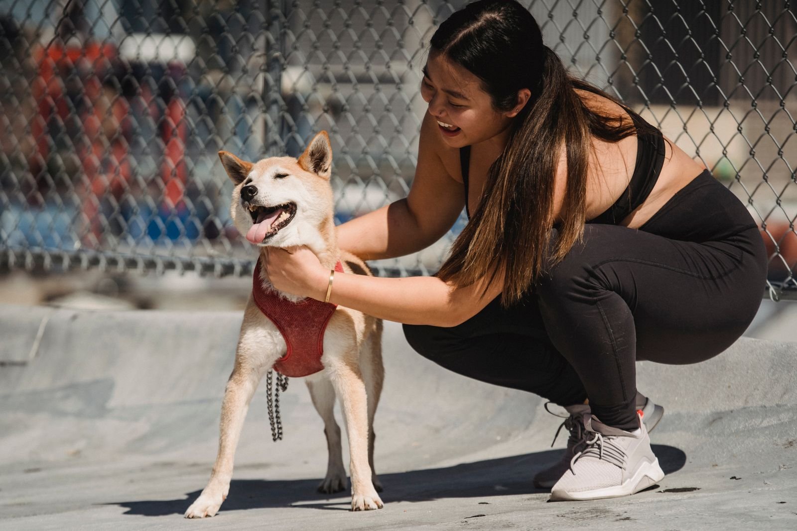 Canine Strength and Conditioning