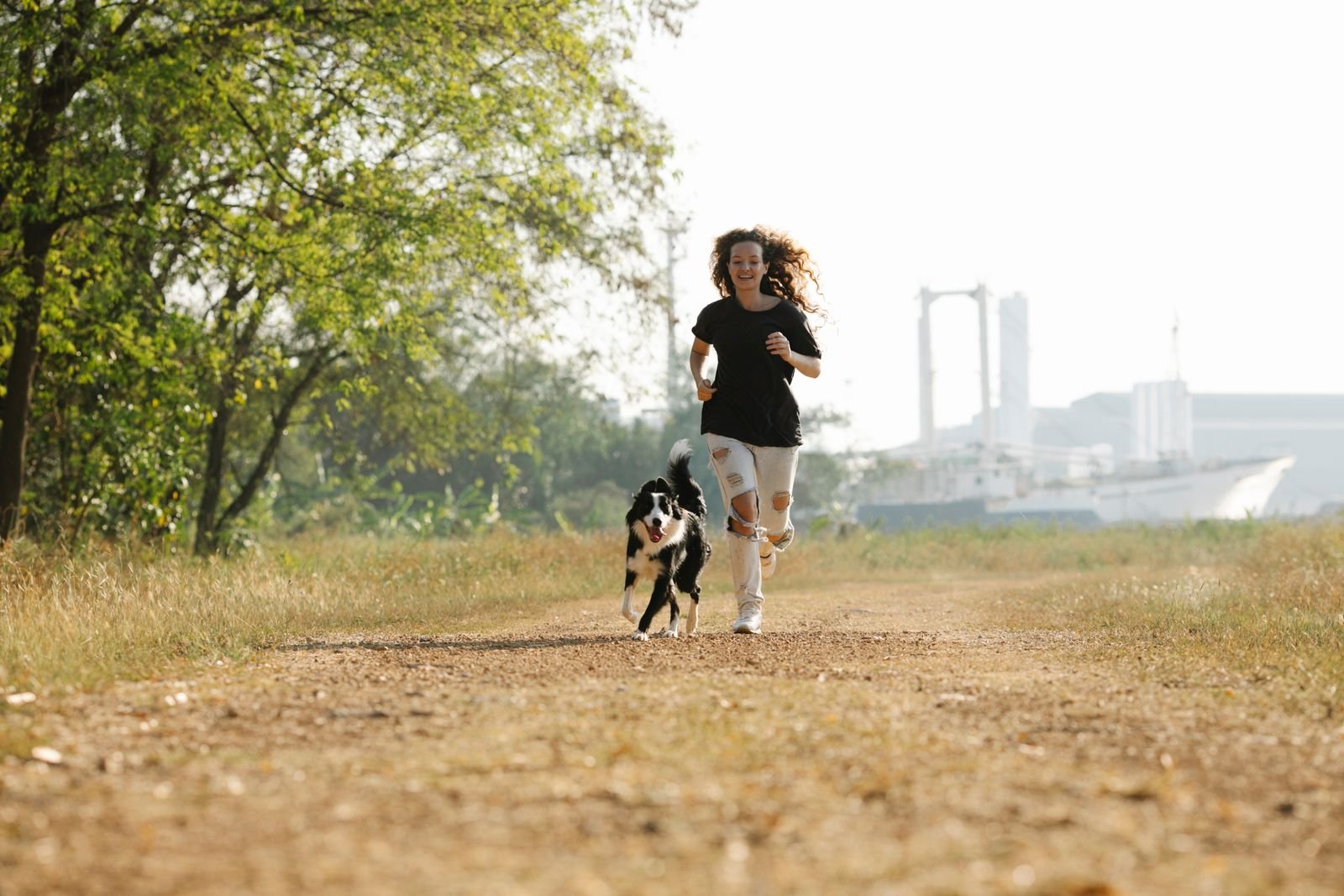 Canine Sports Training