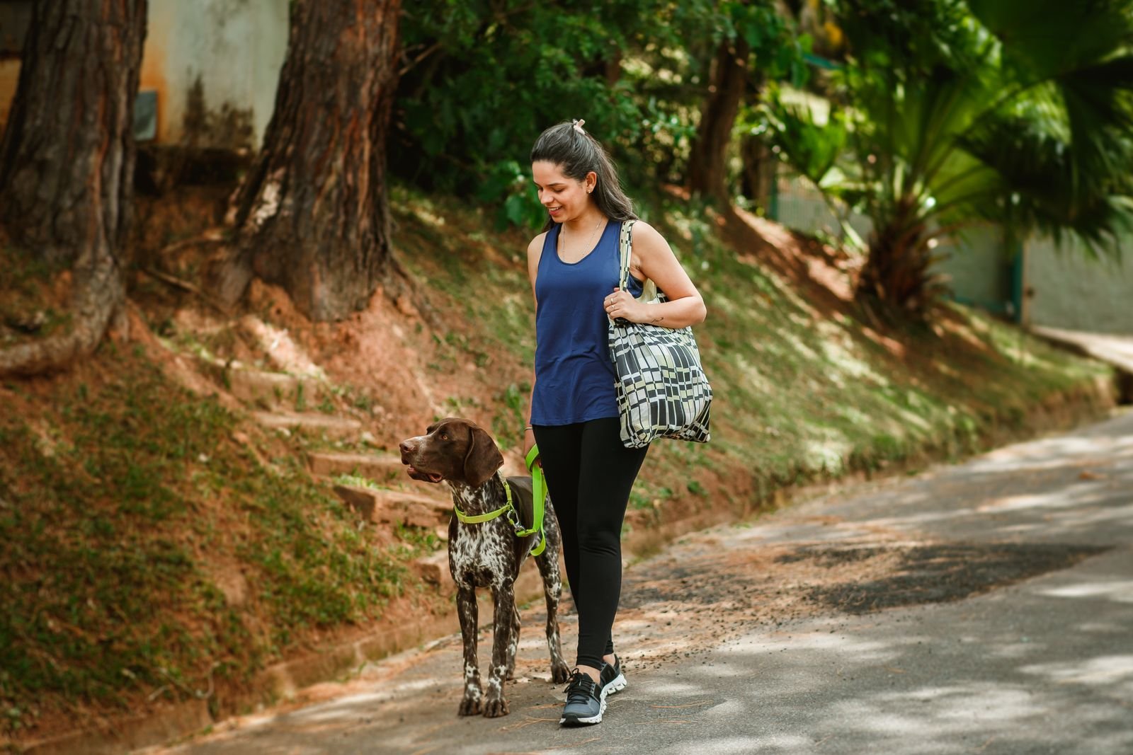 Canine Rehabilitation and Recovery