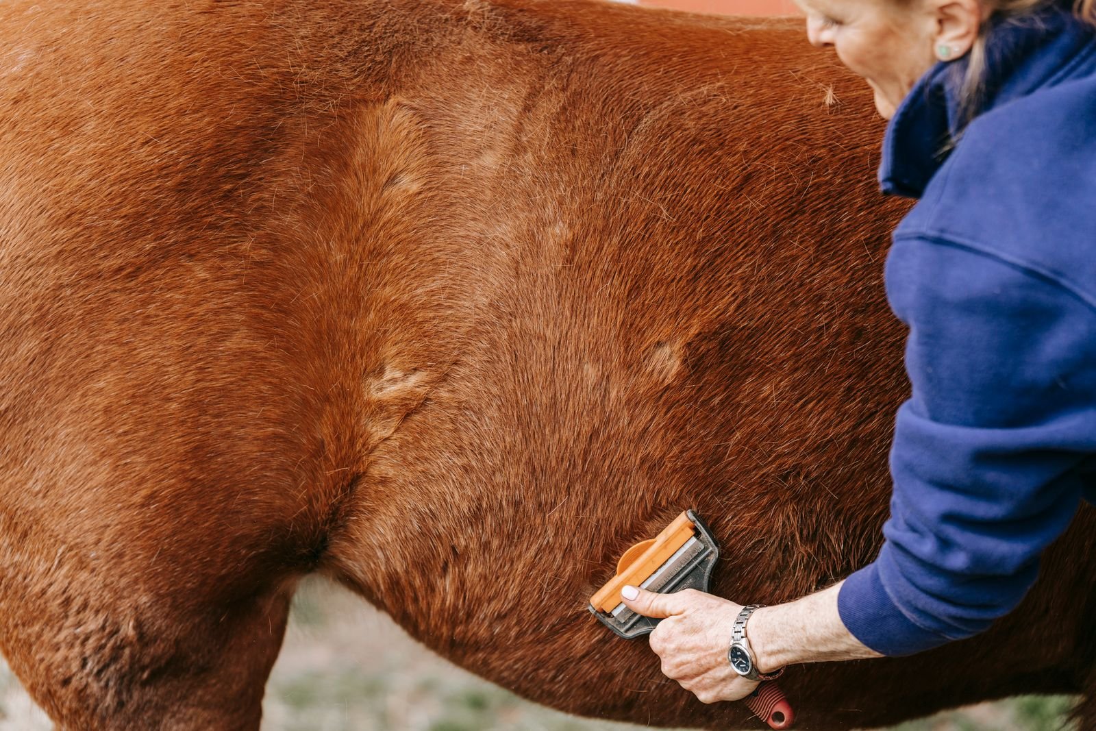 De-Shedding Spa Package