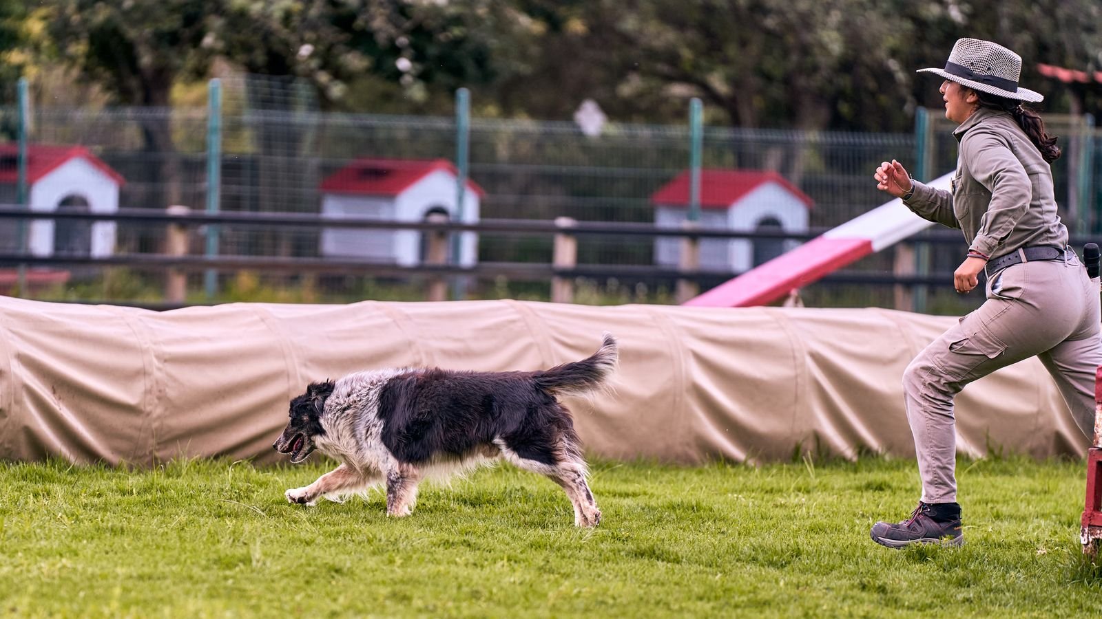Premium Dog Daycare and Playgroups Mumbai