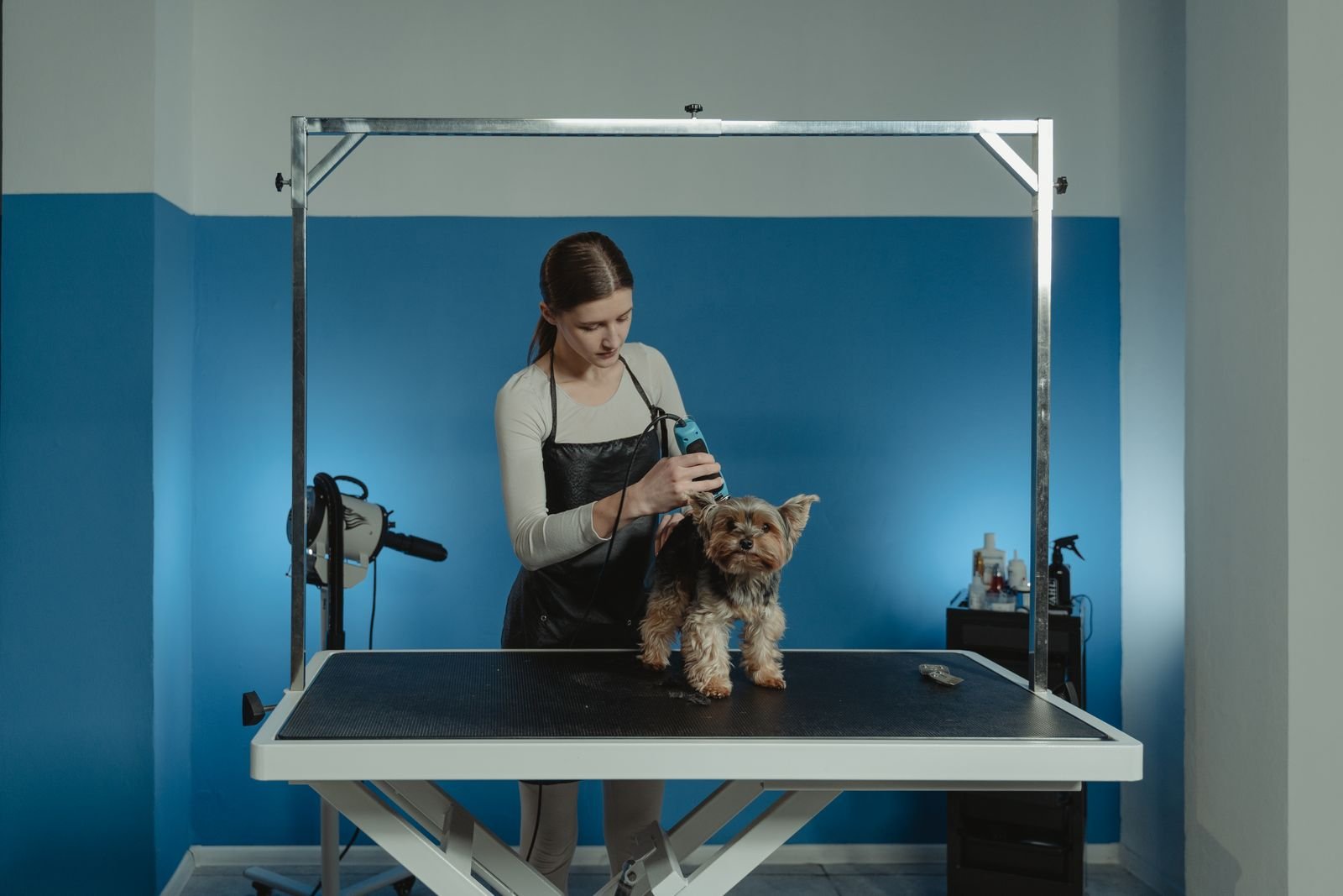 De-shedding Treatment for Dogs