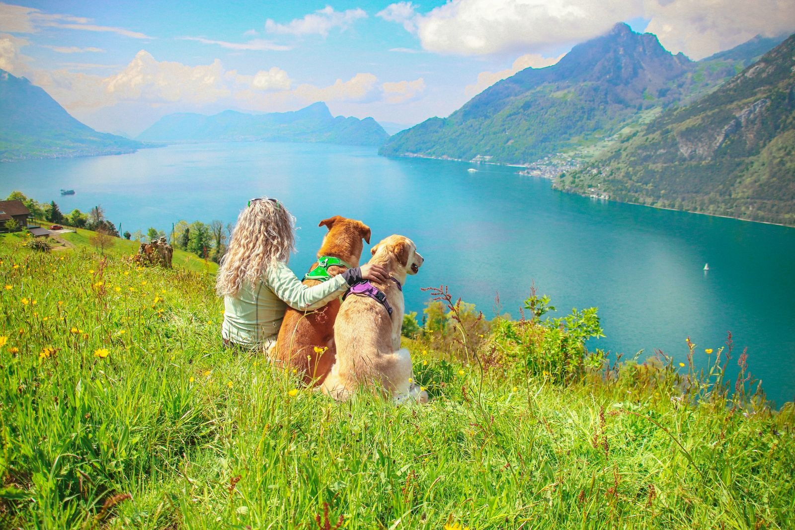 Dog Hiking Video 1