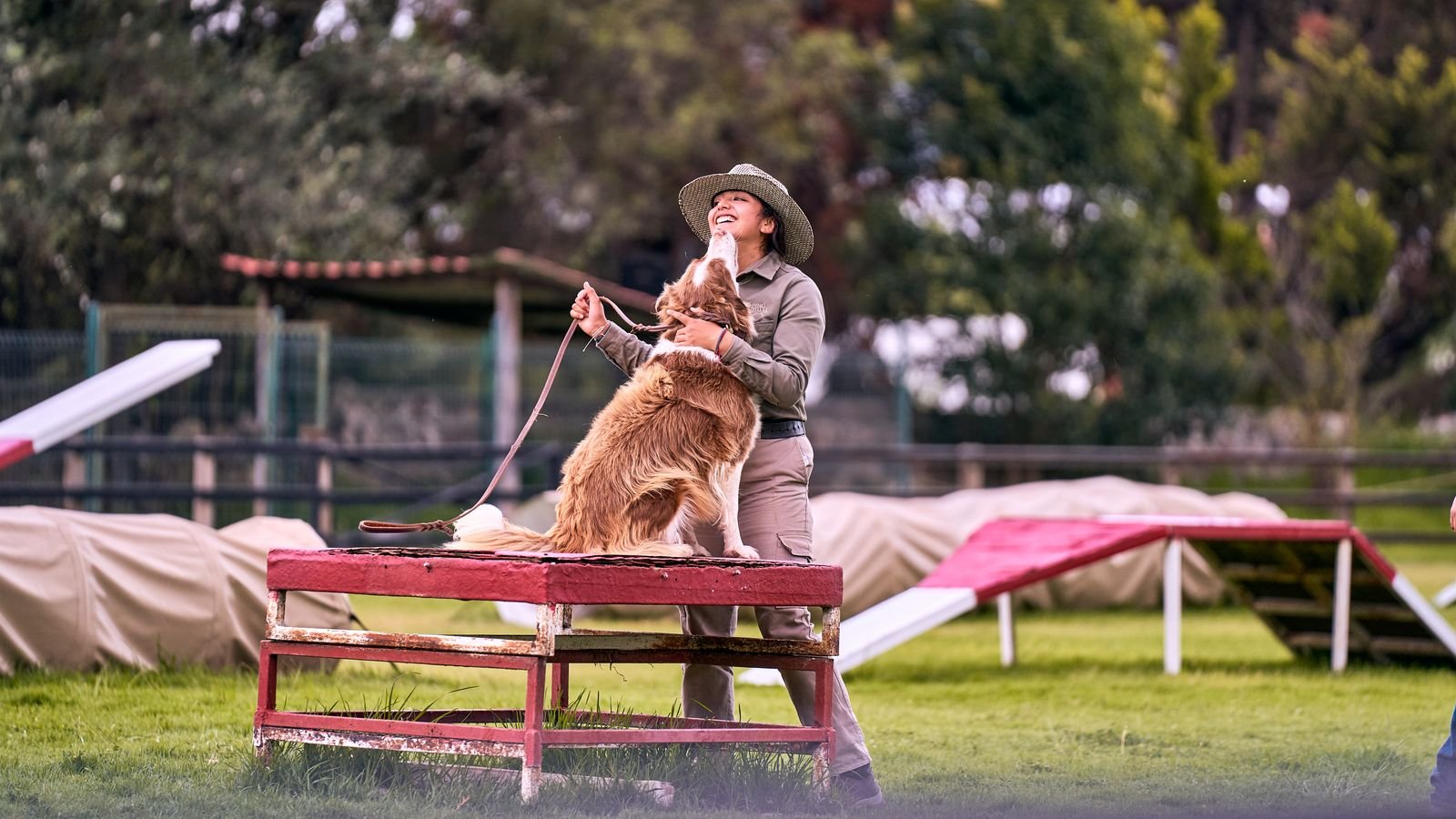 Protection Dog Training Pune