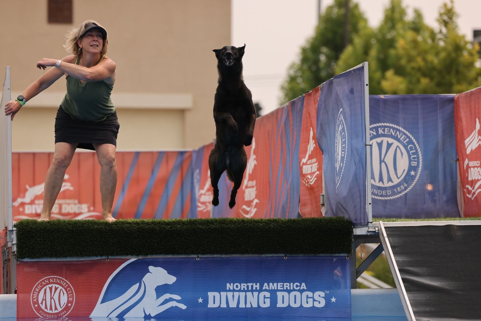 Group Dog Training Classes Pune