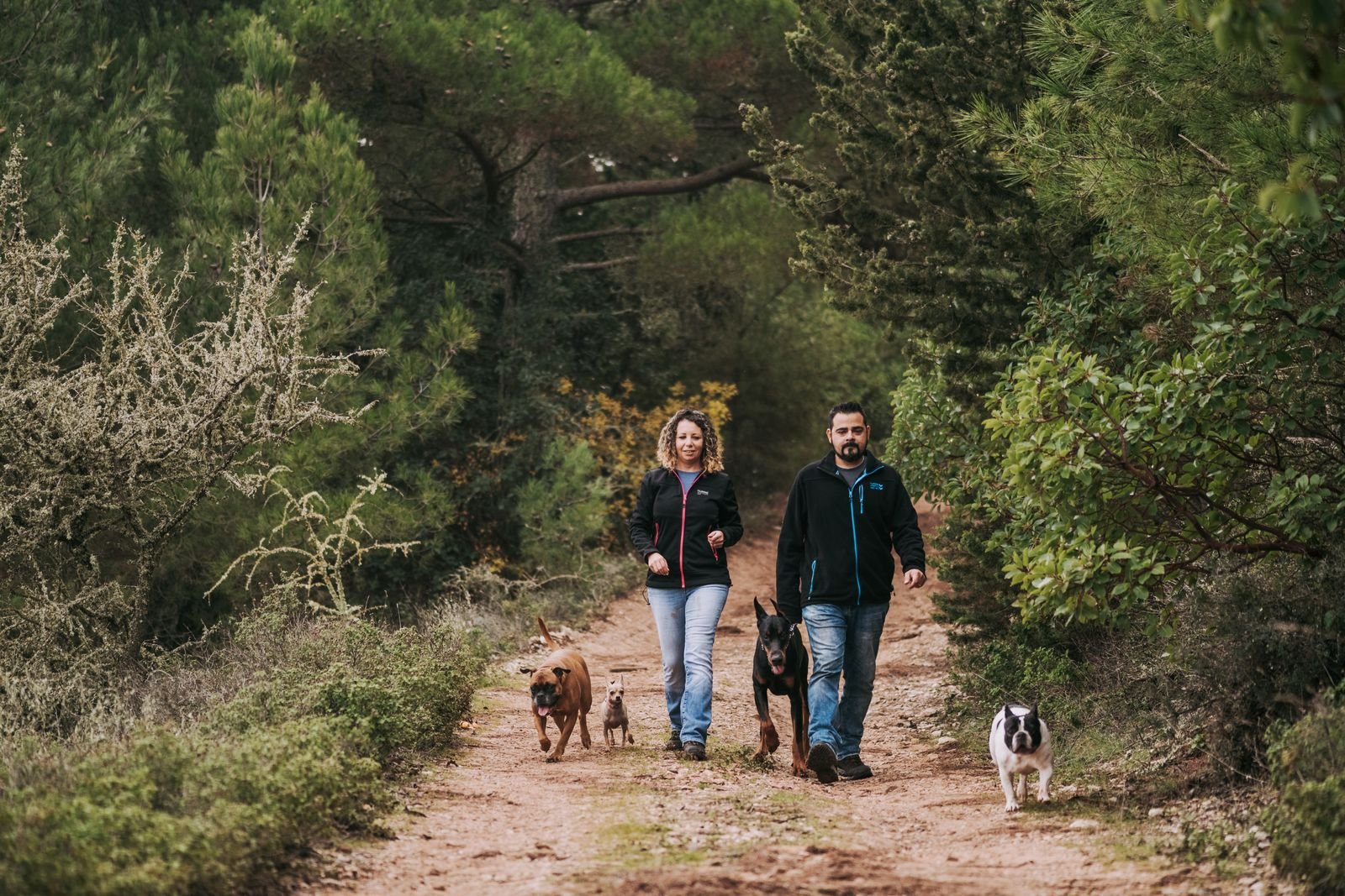 Pet Sitting and Exercise Combo